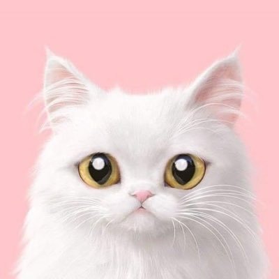 dream75167785's profile picture. 