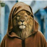 Fahad a a (@fahadaa14803357) Twitter profile photo