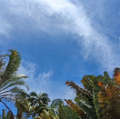 amb7846's profile picture. 「やったら出来た」の精神で次の人生を歩む／アラフィフ史上最高体重をどうにかするアカウント。断捨離中。