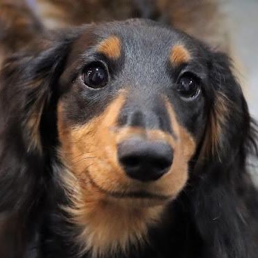 mazumazu1515's profile picture. WEBマーケ好き|オウンドメディア運営しながらフリー（SEOコンテンツディレクター）で活動中。