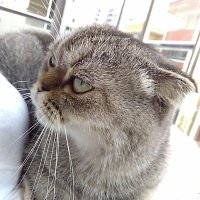 peri İSTANBUL (@alekberakyol1) Twitter profile photo