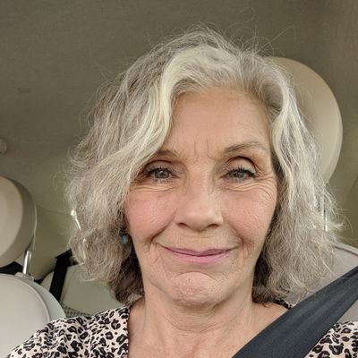 lhayd's profile picture. Grandma❤️ Dem💙 animal lover🐾   Vote Blue  #JusticeMatters
#BLM #LGBTQ🏳️‍🌈  ❤️Ukraine 🇺🇦
Fighting for my grandkids future! #Steelers 🏈 🖤💛 
Please no DMs