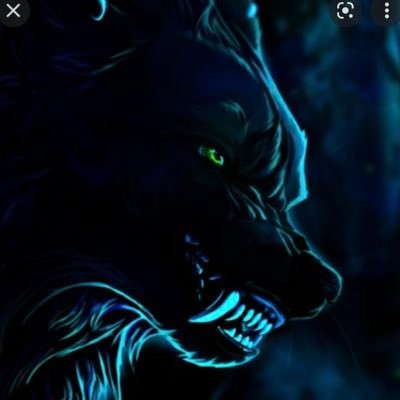 Jeiwpajdjrnxns's profile picture. I’m a gamer and like to have a good time🐺