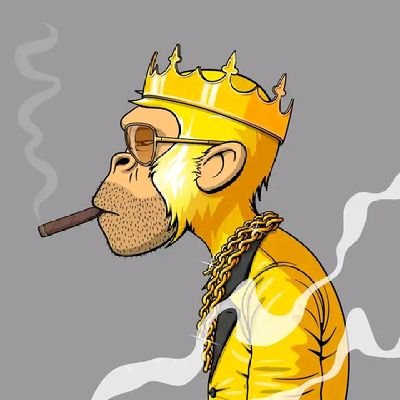 mohamed X naibi Profile