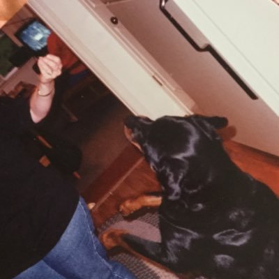 lilBee67569241's profile picture. I Stand With Israel 
God, Family, Country, pets, and life.