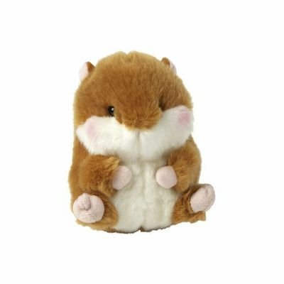 욘さんのプロフィール画像