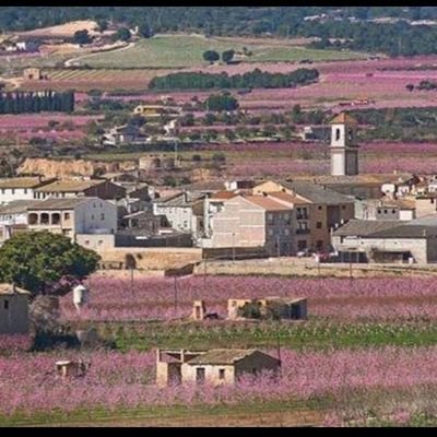 Estimo la meva terra, el poble, el pais, la gent i les meves arrels.