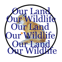 Stop Hunting on the Nation's Land(@NT_Distrust) 's Twitter Profile Photo