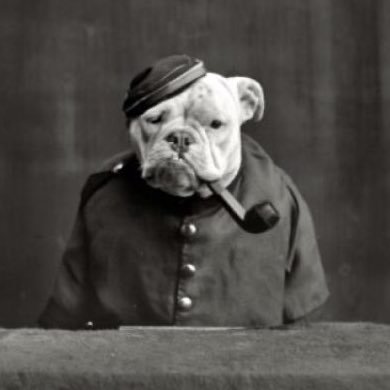 MrWhitmanEDU's profile picture. 