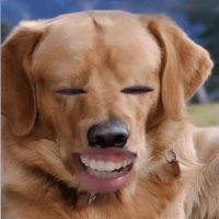 ふぁん (@fernnious) 's Twitter Profile
