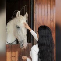 رش المطر"rain splash" (@yjkam_) 's Twitter Profile