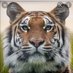 Juan Grande (@juangra45793291) Twitter profile photo Juan Grande (@juangra45793291) Twitter profile photo