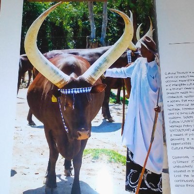 OPERATING & ASSISTING @ ( TOURISM _ AFRICA ),in Safaris, Cultural & Trails tours, Other tours & Adventures, African foods & drinks experiences, Cultural Events.