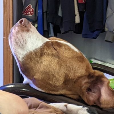 UrbasJulie's profile picture. 