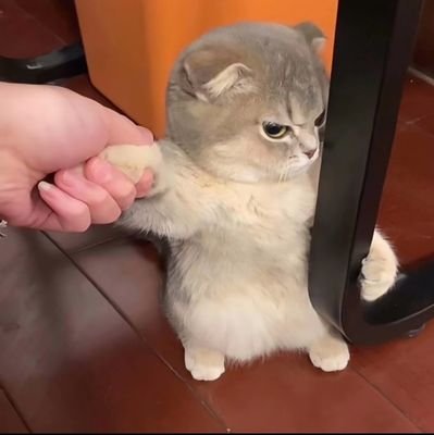 Wang_yi_chen_'s profile picture. 