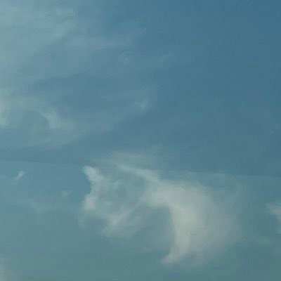 하얀늑대さんのプロフィール画像