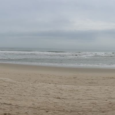 gimgyeo89013224's profile picture. 안렁