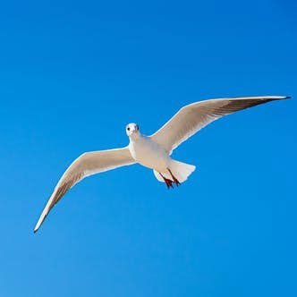 iR8oXgCaPMqR2jw's profile picture. 