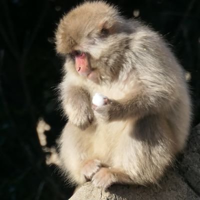 bTnWv3XRGnch5Kn's profile picture. 