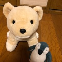 楓🚀 (@hitsujichan2929) 's Twitter Profile Photo 楓🚀 (@hitsujichan2929) 's Twitter Profile Photo
