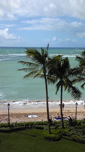 to1529ta's profile picture. ハワイ🌺 チョコレート🍫好き