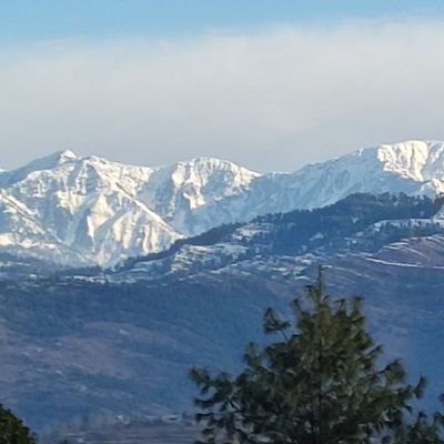 CFM392's profile picture. May God have mercy on my enemy cuz i won't 🇵🇰😎