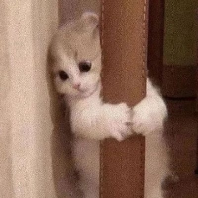 meuputinhofabio's profile picture. 