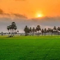 Imran Siddiqui (@imransi89243976) 's Twitter Profile