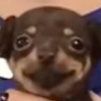 davidtableau's profile picture. college student. interested in economics and politics.