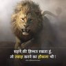 DahiphaleSatya's profile picture. माणूसकी जोपासा
