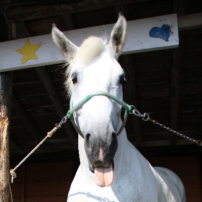 jwhite39001771's profile picture. ほっこりtweetが好き