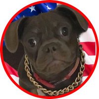 Toneman911 ๐ฎ๐น๐บ๐ธ (@toneman911) 's Twitter Profile