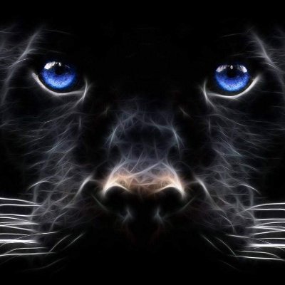 Vinay404kk's profile picture. SquadW