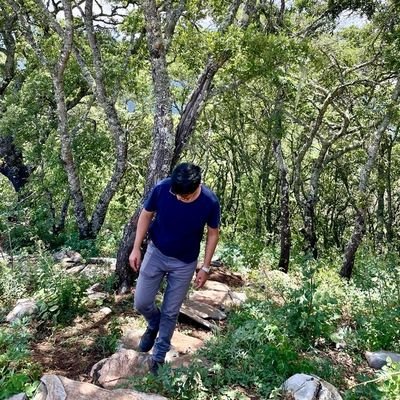 IvanMcLaren7's profile picture. Tuiteo frases de canciones de trova. 

A veces tuiteo chido, a veces.

Viviendo mis XVII 👑