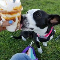Kika (@cord1k) 's Twitter Profile