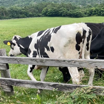 Rusrypto's profile picture. 2018~ | 大学生 | クリプトの情報発信 | Not posting any PR