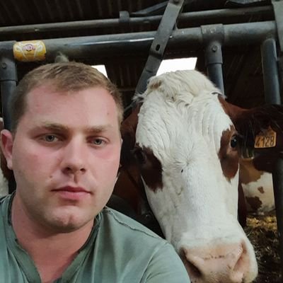 Technicien de santé animale au GDS, futur agriculteur
#Montbeliarde   #ceuxquifontlelait
#brebis
#Charolais  #céréales
#lapingéantpapillonfrançais