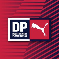 The DPL(@DP_League) 's Twitter Profile Photo