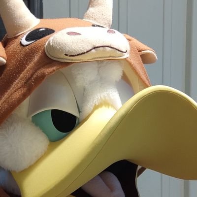 Suggestiveduck Profile Picture