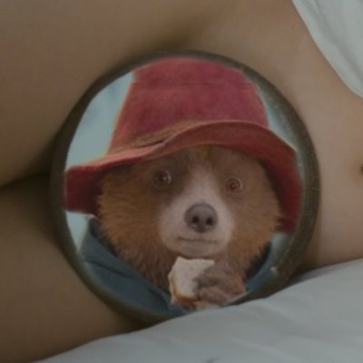 Paddington_Mode Profile Picture