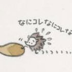 のじまさんのプロフィール画像