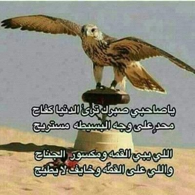 amr26201986's profile picture. الحمد لله رب العالمين