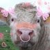 charlotte (@strwberrym00n) Twitter profile photo charlotte (@strwberrym00n) Twitter profile photo