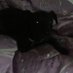 Denim Perriton (@denimperriton) Twitter profile photo Denim Perriton (@denimperriton) Twitter profile photo