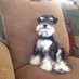 Susan Janes (@reeree99776852) Twitter profile photo Susan Janes (@reeree99776852) Twitter profile photo