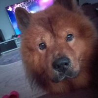 Ebru Gurgul (@ebrugurgul) 's Twitter Profile Photo Ebru Gurgul (@ebrugurgul) 's Twitter Profile Photo