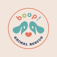 Boop!(@boop_rescue) 's Twitter Profile Photo