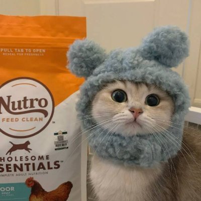 suzanne590's profile picture. If you love life, life will love you