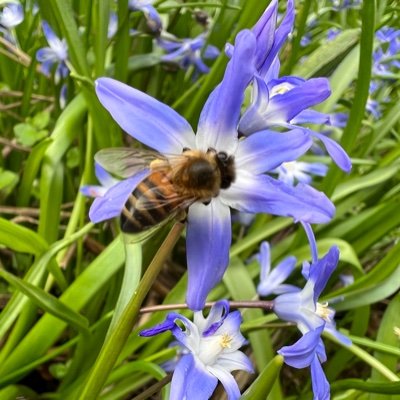 Junipertwo's profile picture. Pictures, places and things that catch my eye.