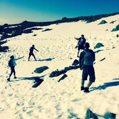 LUCE631's profile picture. 